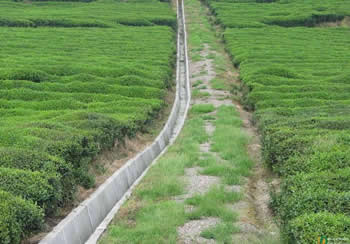 農(nóng)田水利水電建設(shè)項(xiàng)目